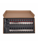 Колектор із витратомірами Thermo Alliance Forte 1