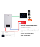 Комплексное решение Thermo Alliance для котельной: электрический котел 10 кВт + проводной термостат Wi-Fi фото - 2