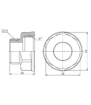 Перехідник Forte 1″Вх3/4″З нікельований SF3602520 Thermo Alliance фото - 2