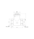 Зворотний клапан пелюстковий Thermo Alliance Standart 3/4″ВВ низького тиску — фото 2