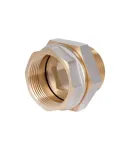 Thermo Alliance Base Сгон-американка 2″ВН никель, прямой SD190W50 фото - 3
