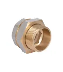 Thermo Alliance Base Сгон-американка 2″ВН никель, прямой SD190W50 фото - 4