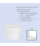 Готове рішення Qtap для ванної кімнати: підвісний унітаз Scorpio ML Ultra Quiet 490x365x325 + комплект інсталяції Standard (лінійна клавіша Black) фото - 3