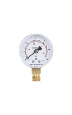 Манометр Thermo Alliance Standart d50 мм, 1/4″З, нижнє підключення, 0–6 бар, латунь