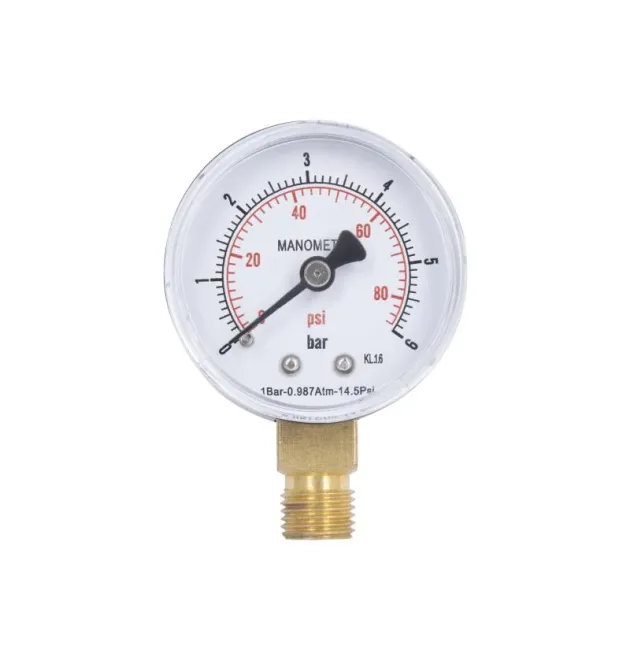 Манометр Thermo Alliance Standart d50 мм, 1/4″З, нижнє підключення, 0–6 бар, латунь