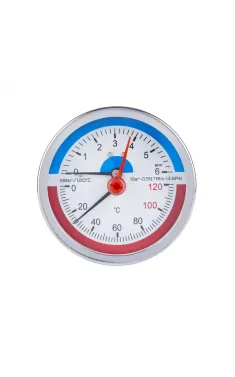 Термоманометр Thermo Alliance Standart d80 мм, 1/2″З, заднє підключення, 0–6 бар, 0–120 °C, латунь